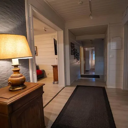 Northern Lights Rovaniemi