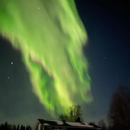 Semesterbostad Northern Lights *